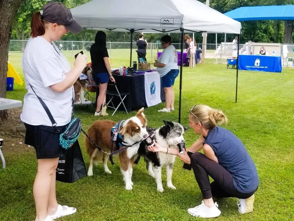 bark-2-jamie-w-dogs-2