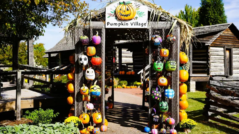 dpa-pumpkin-vill-2