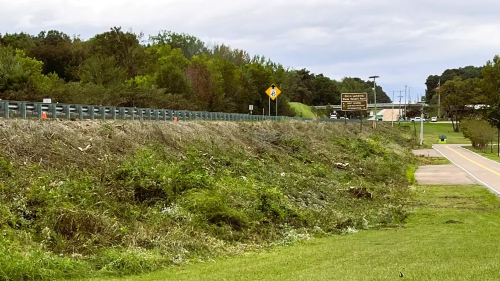 pl-bridge-clean-up