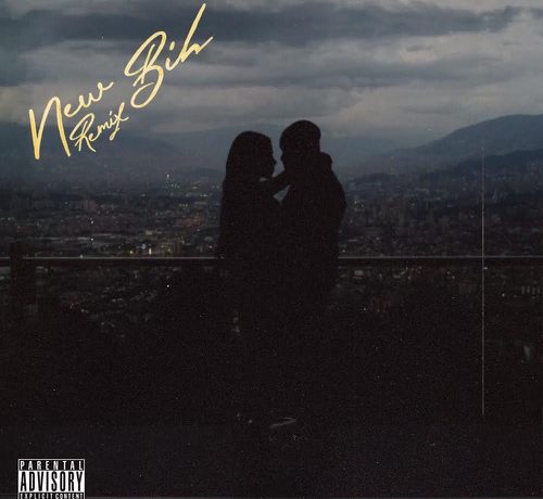 Cover Art of New Bih Remix