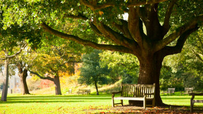 shutterstock_136458284