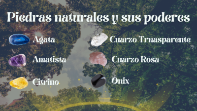 Green Trees background with natural stones