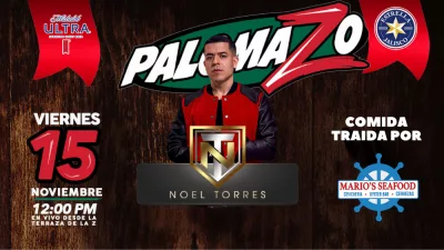 NOEL TORRES - PALOMAZO