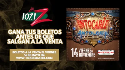 INTOCABLES