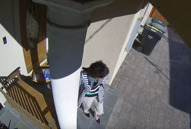 package thief