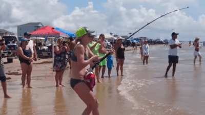 Austin Woman Catches 7-foot-long Shark off Texas Coast. Watch here!