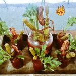 Buffet Mary: What...? Not enough beef?