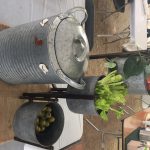 Green Thumb Mary: sew country