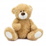 A Bear: A teddy bear