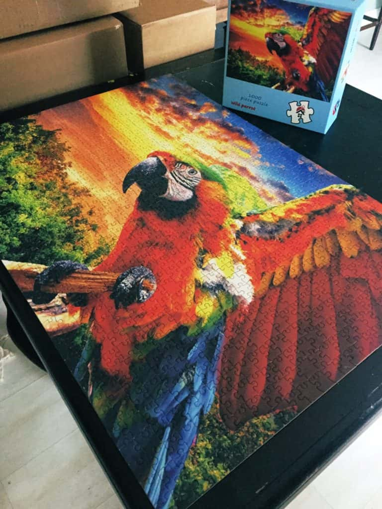 Thousand piece parrot puzzle