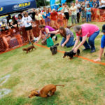 2012 klbj rockin weenie races