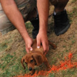 2012 klbj rockin weenie races