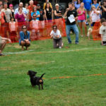 2012 klbj rockin weenie races