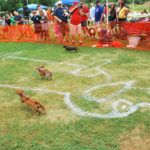 2012 klbj rockin weenie races