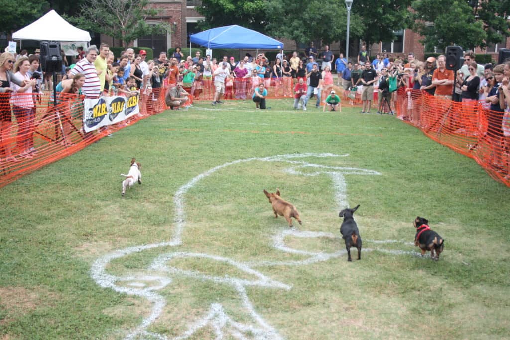 2012 klbj rockin weenie races