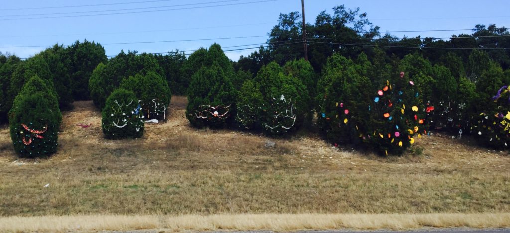 Trees on side of highway