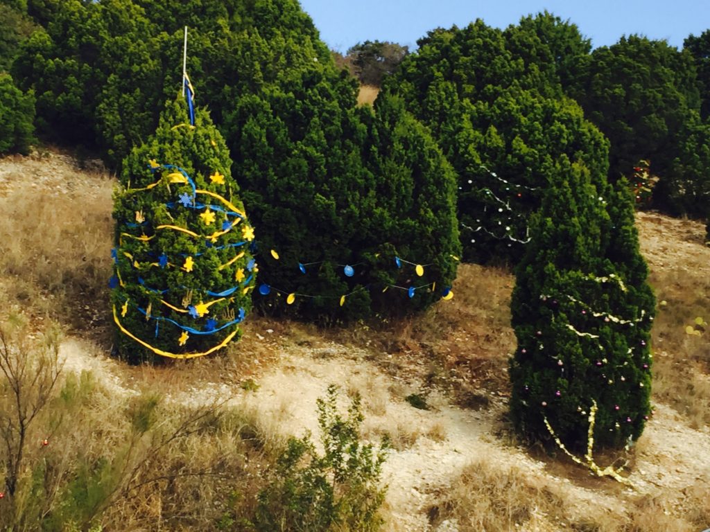 Trees on side of highway