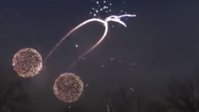 Firework penis