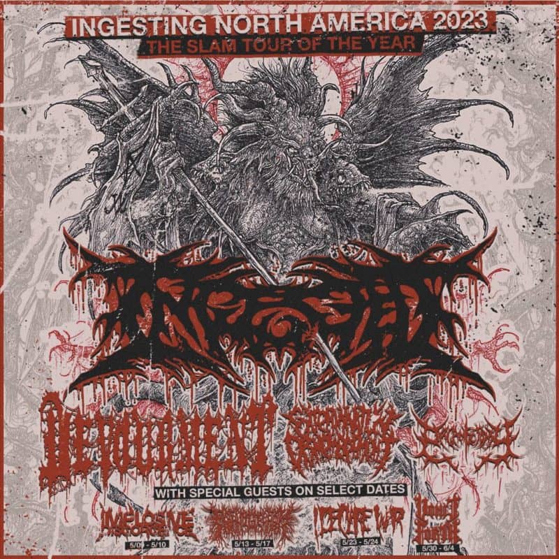 Ingested