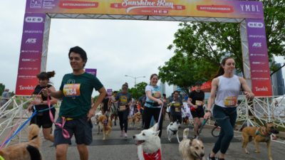 Austin Sunshine Run
