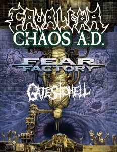 Chaos