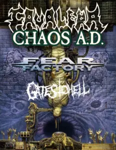 Chaos