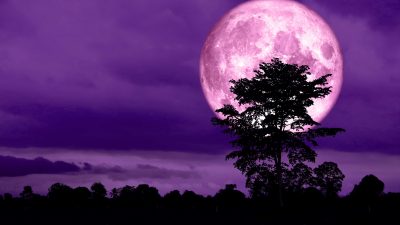 full moon and purple night sky
