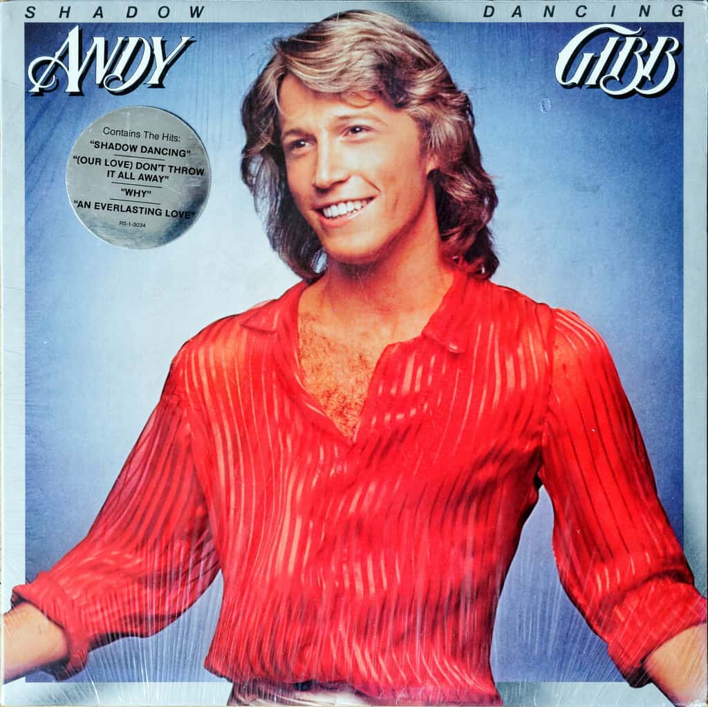 Andy Gibb Vinyl Cover of Shadow Dancing Featuring Andy Gibb