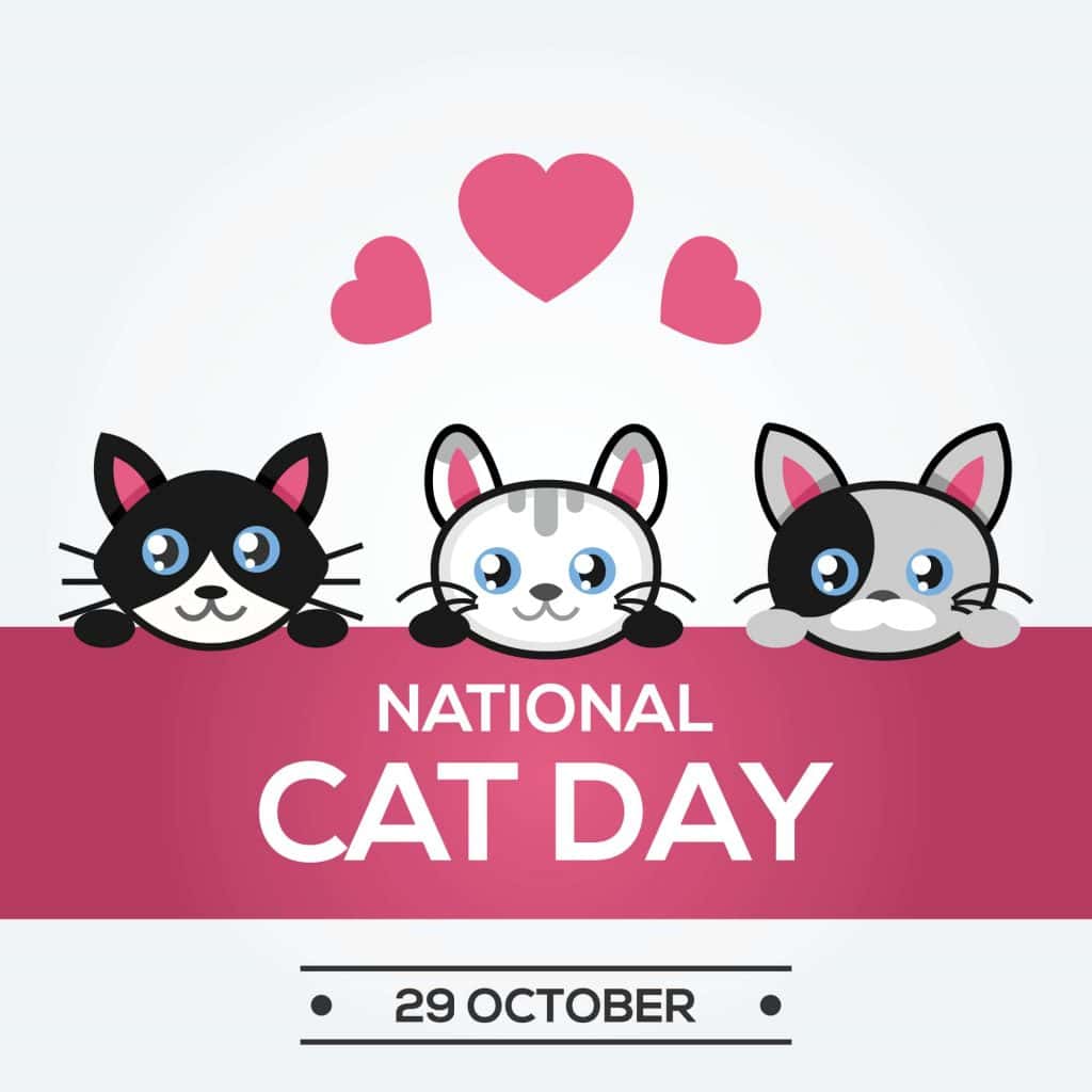 national cat day october 29th