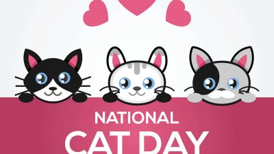 national cat day october 29th