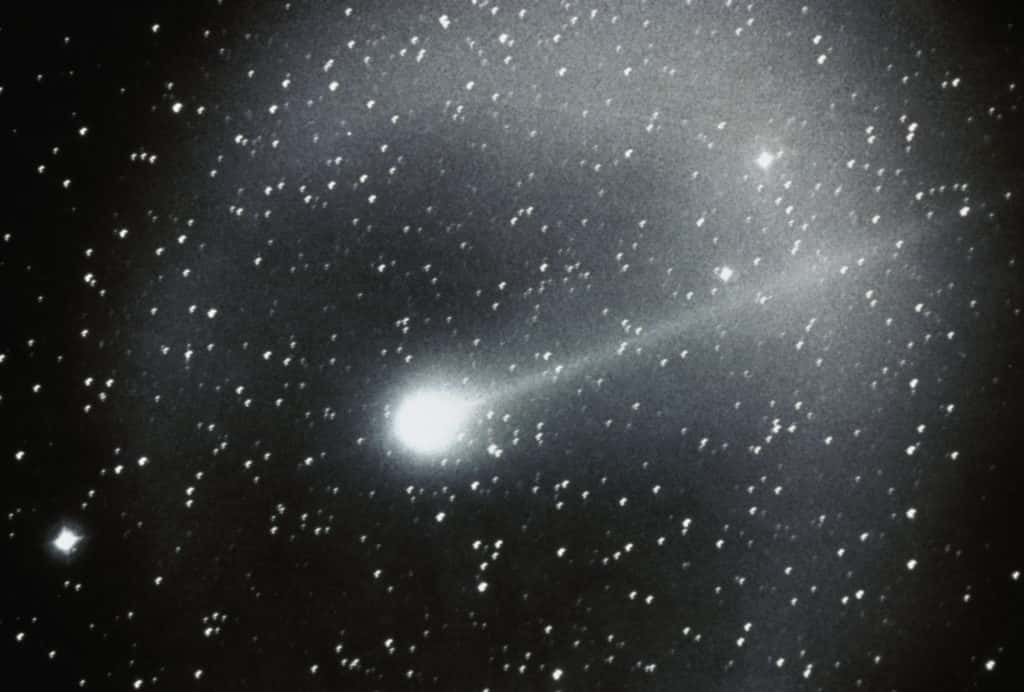 halleys-comet-1986