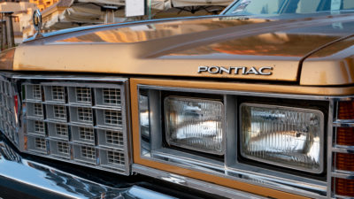 shutterstock_1786544354