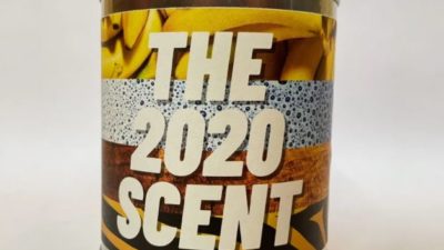 the 2020 scent candle