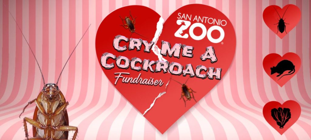 cry me a cockroach fundraiser