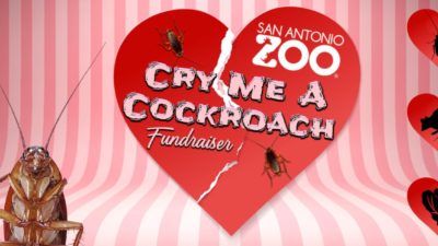 San Antonio Zoo: Cry Me a Cockroach Fundraiser