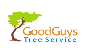 ggts-logo_fluorescentgreen-w-blue-good-guys-trees-logo-bobfm