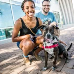 Austin Animal Center – Clear The Shelters