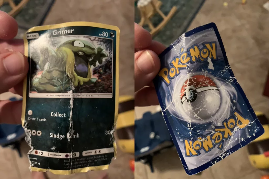 2 angles of a crumbled pokemon card are held up for a photo - Taken by Brian Hubbard, August 30, 2024, SRQ, FLA