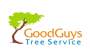 ggts-logo_fluorescentgreen-w-blue-2