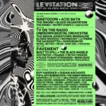 Levitation Fest Announces 2025 Lineup: Pavement & More