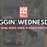 Waggin’ Wednesday – Send us photos of your pet to be featured!