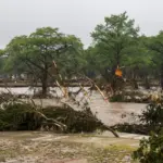 A Few Ways to Help Those Affected by the Floods