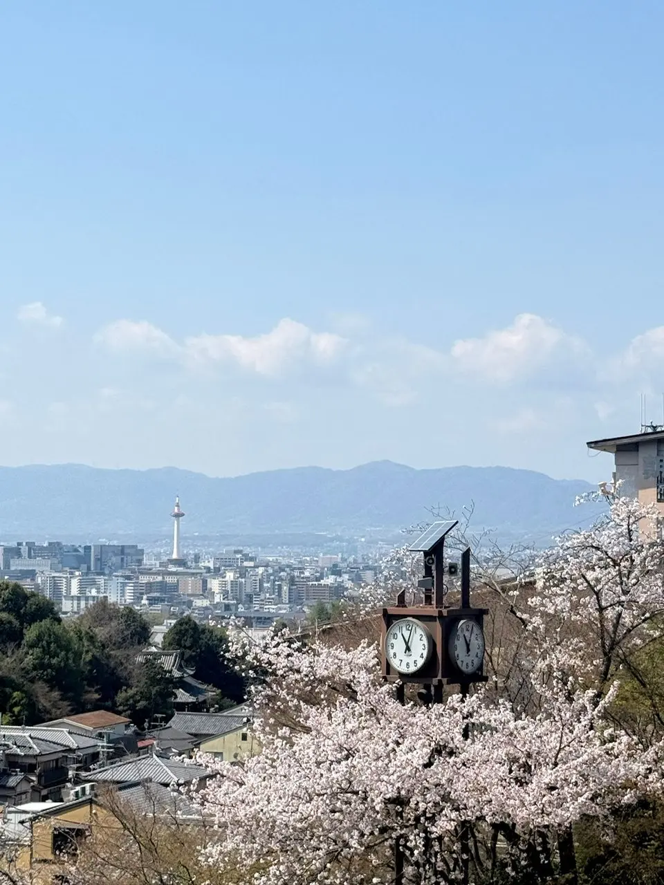 Krash in Japan