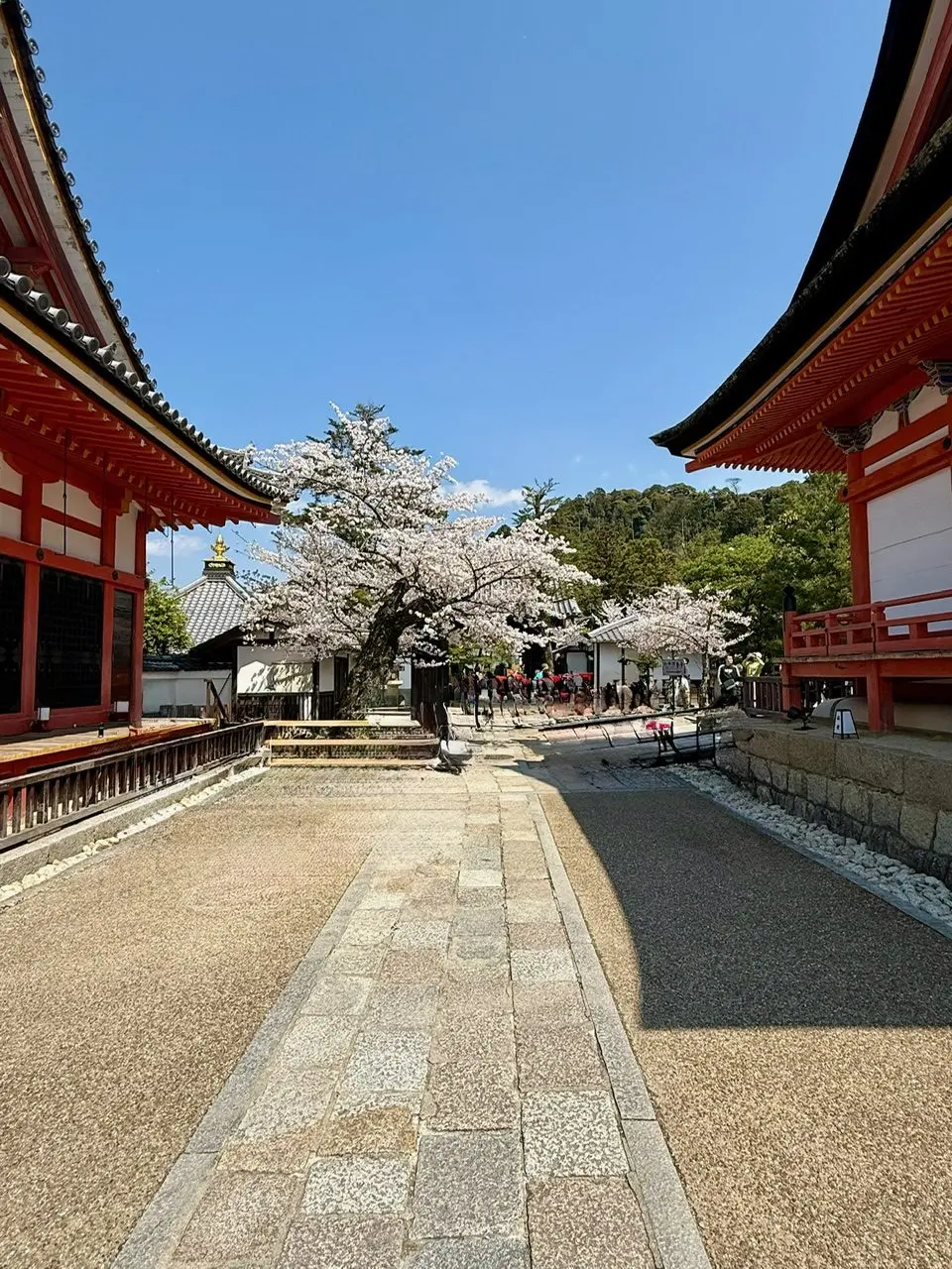 Krash in Japan