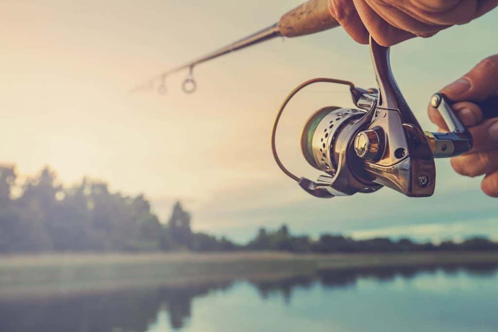 CATCHy Songs About Fishing To Celebrate National Go Fishing Day The