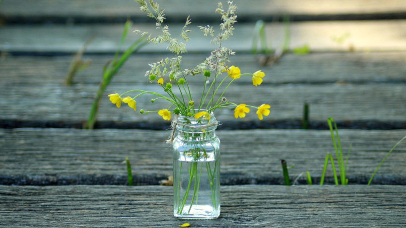 glass jar filled with flowers