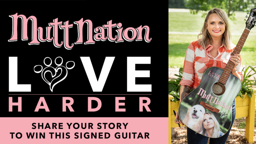 MNF-LH-Guitar-Digital-Ad-