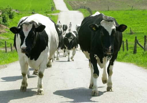 65392deefe344fbc8ca056a1568673fd_0-jpg