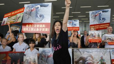 16b1b87baae9451f98c9913e17133bc9-jpg