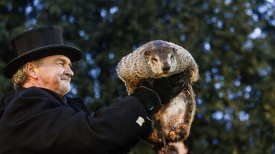 94f1447748ae46138d992b4939c91fcd-jpg